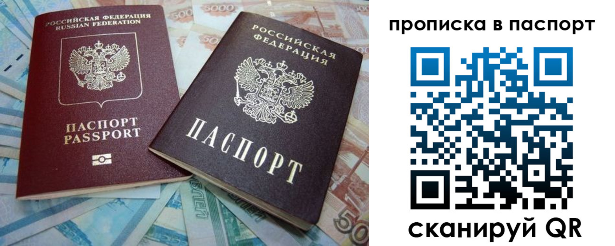 прописка поиск в Полярных Зорях